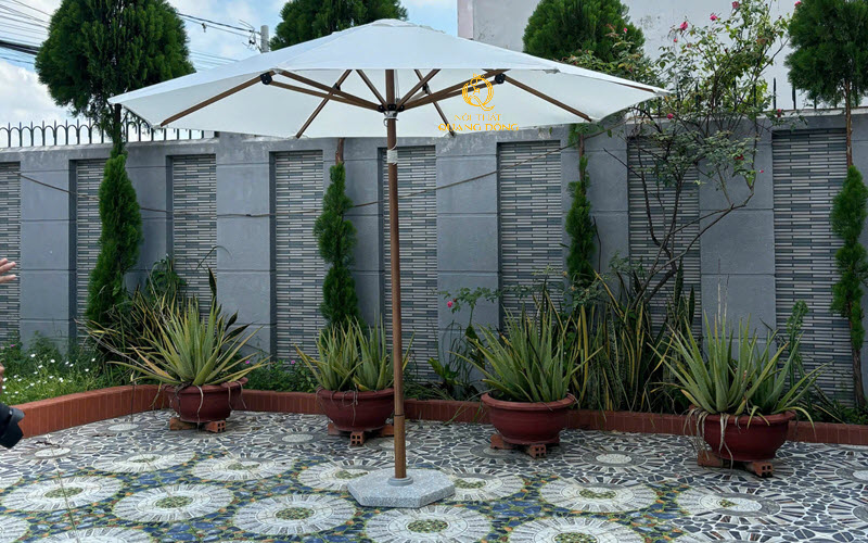 Dù đúng tâm tròn đa dạng về màu sắc